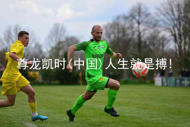 尊龙凯时(中国)人生就是搏!